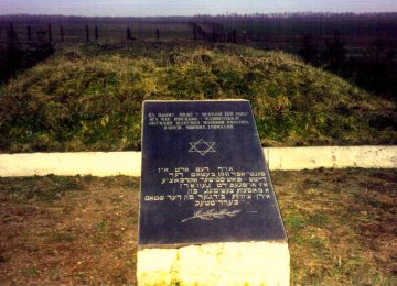 ברדיטשוב בשואה